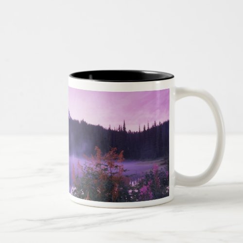 NA USA Washington Mt Rainier National Two_Tone Coffee Mug