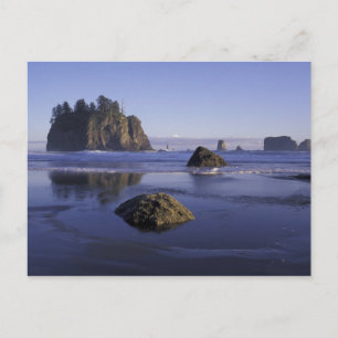 N.A., USA, Washington, Olympic National Park, 3 Postcard