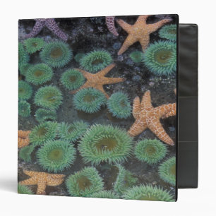 N.A., USA, Washington, Olympic National Park 3 Ring Binder
