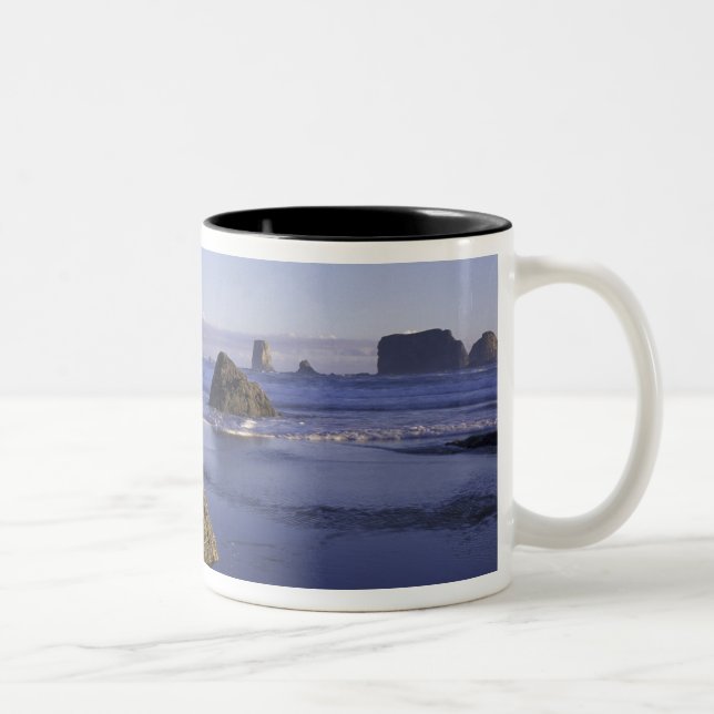 N.A., USA, Washington, Olympic National Park, 3 Two-Tone Coffee Mug (Right)