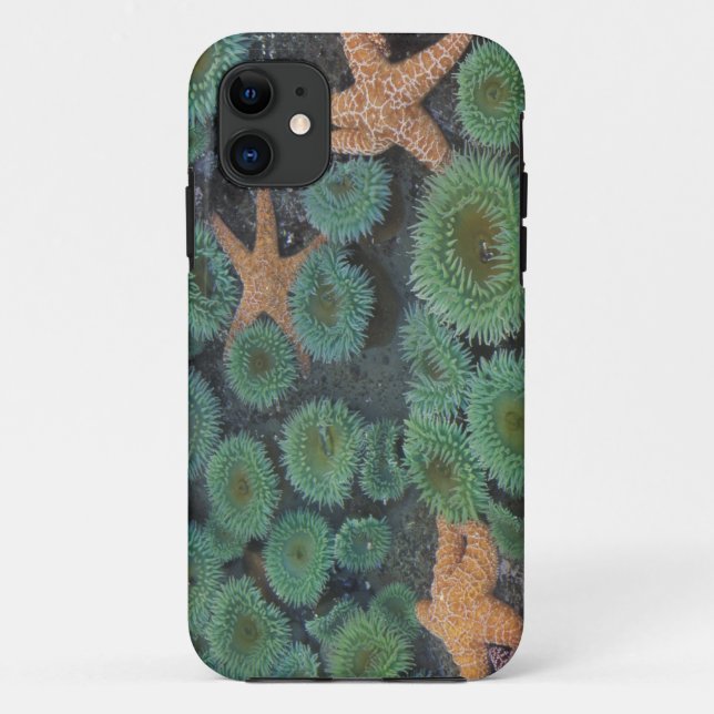 N.A., USA, Washington, Olympic National Park Case-Mate iPhone Case (Back)