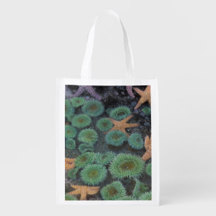 N.A., USA, Washington, Olympic National Park Grocery Bag