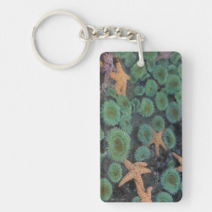 N.A., USA, Washington, Olympic National Park Keychain