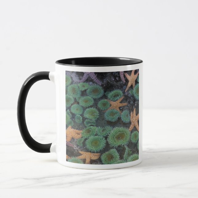 N.A., USA, Washington, Olympic National Park Mug (Left)