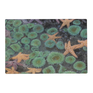 N.A., USA, Washington, Olympic National Park Placemat