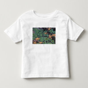 N.A., USA, Washington, Olympic National Park Toddler T-shirt