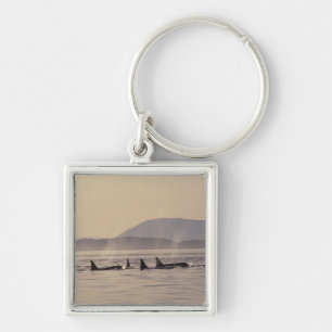 N.A., USA, Washington, San Juan Islands Orca Keychain