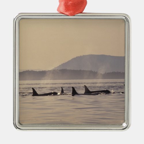 NA USA Washington San Juan Islands Orca Metal Ornament