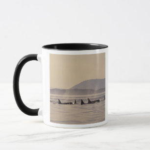 N.A., USA, Washington, San Juan Islands Orca Mug