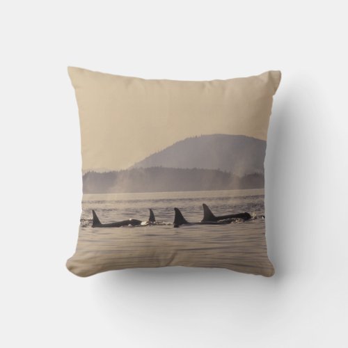 NA USA Washington San Juan Islands Orca Throw Pillow