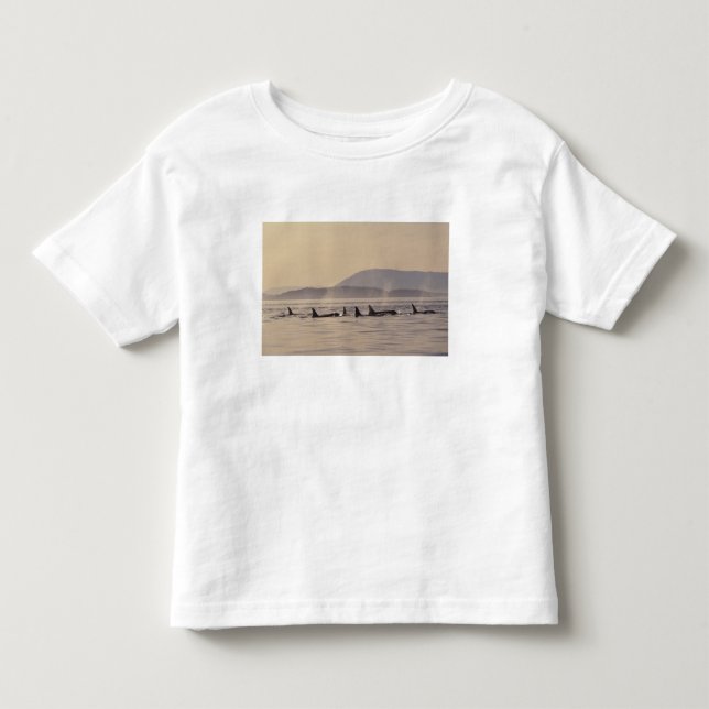 N.A., USA, Washington, San Juan Islands Orca Toddler T-shirt (Front)