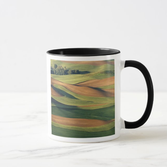 N.A., USA, Washington, Whitman County. Mug (Right)