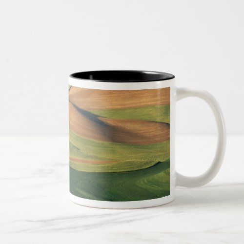 NA USA Washington Whitman County Two_Tone Coffee Mug