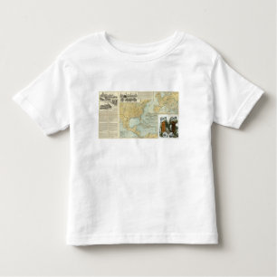 N America, W Europe passenger lines Toddler T-shirt