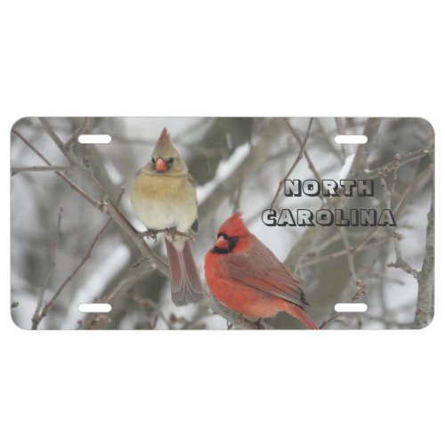 N Carolina State Bird License Plate