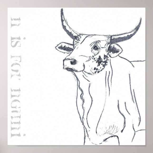 n is for nguni poster (Front)