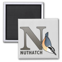 N is for Nuthach Square Magnet