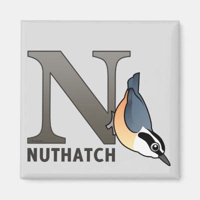 N is for Nuthatch Magnet