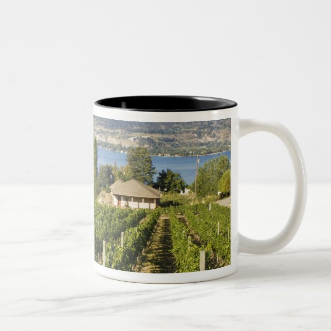 NA; Canada; British Columbia; Okanagan Valley; Two-Tone Coffee Mug (Right)