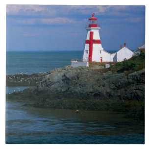NA, Canada, New Brunswick, Campobello Island. 4 Ceramic Tile