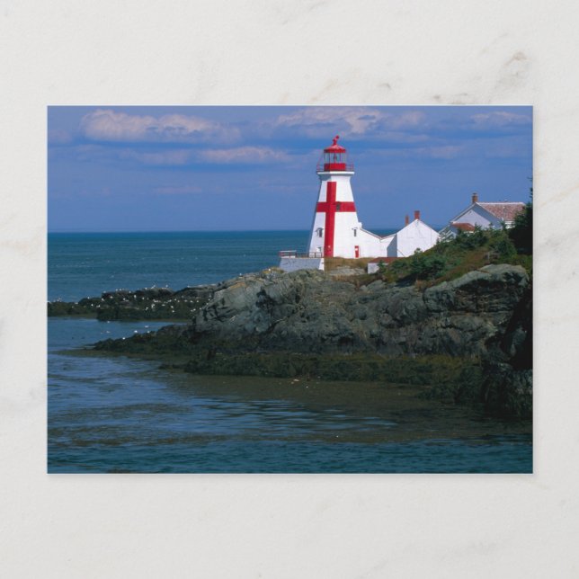NA, Canada, New Brunswick, Campobello Island. 4 Postcard (Front)