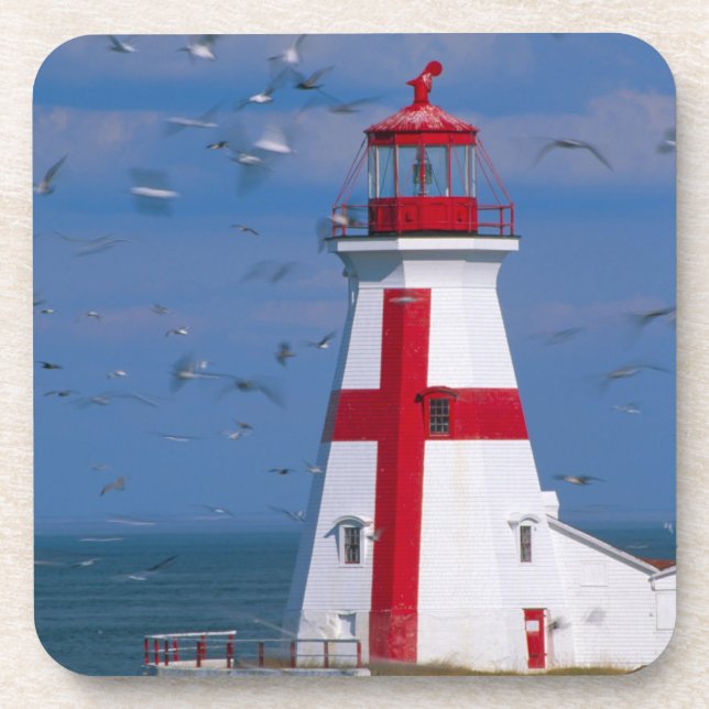 NA, Canada, New Brunswick, Campobello Island. 8 Drink Coaster (Front)