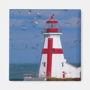NA, Canada, New Brunswick, Campobello Island. 8 Magnet