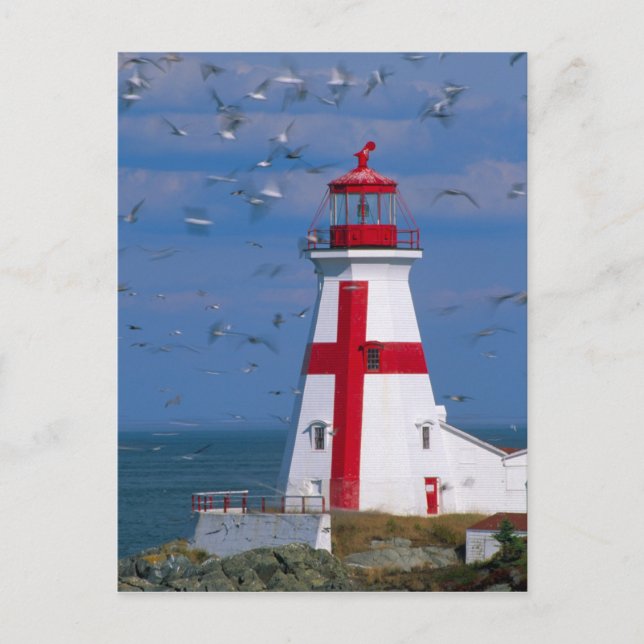 NA, Canada, New Brunswick, Campobello Island. 8 Postcard (Front)