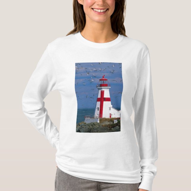 NA, Canada, New Brunswick, Campobello Island. 8 T-Shirt (Front)