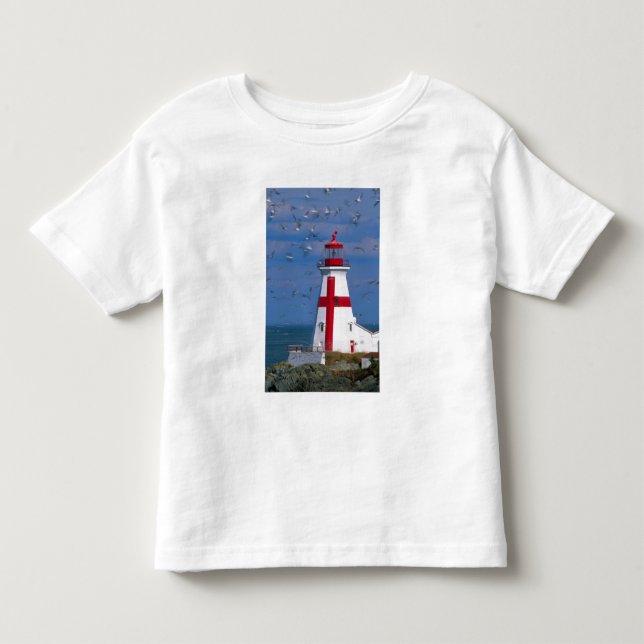 NA, Canada, New Brunswick, Campobello Island. 8 Toddler T-shirt (Front)