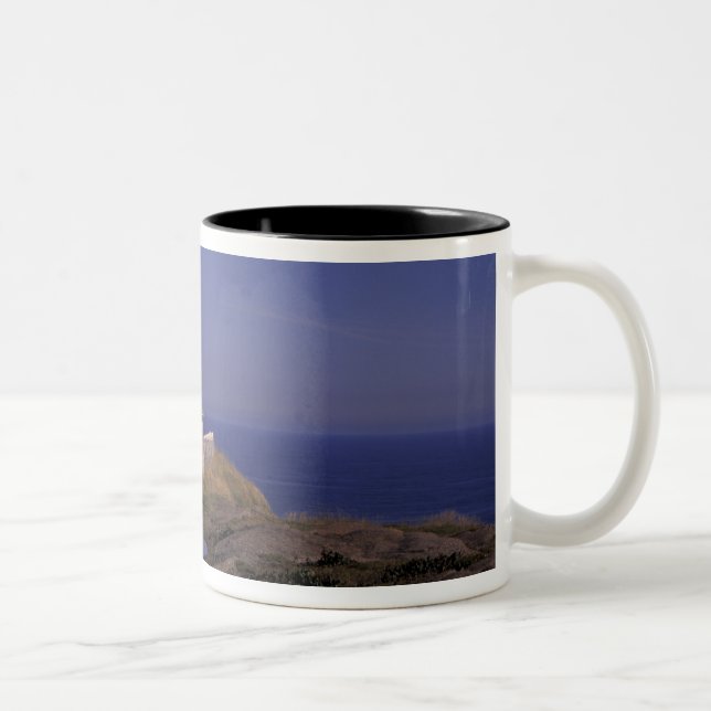 NA, Canada, Newfoundland, Cape Spear. Old Cape Two-Tone Coffee Mug (Right)