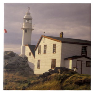 NA, Canada, Newfoundland, Lobster Cove. Lobster Ceramic Tile