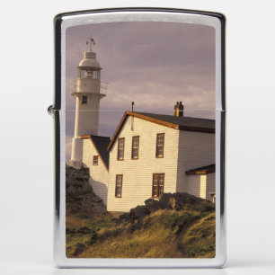 NA, Canada, Newfoundland, Lobster Cove. Lobster Zippo Lighter