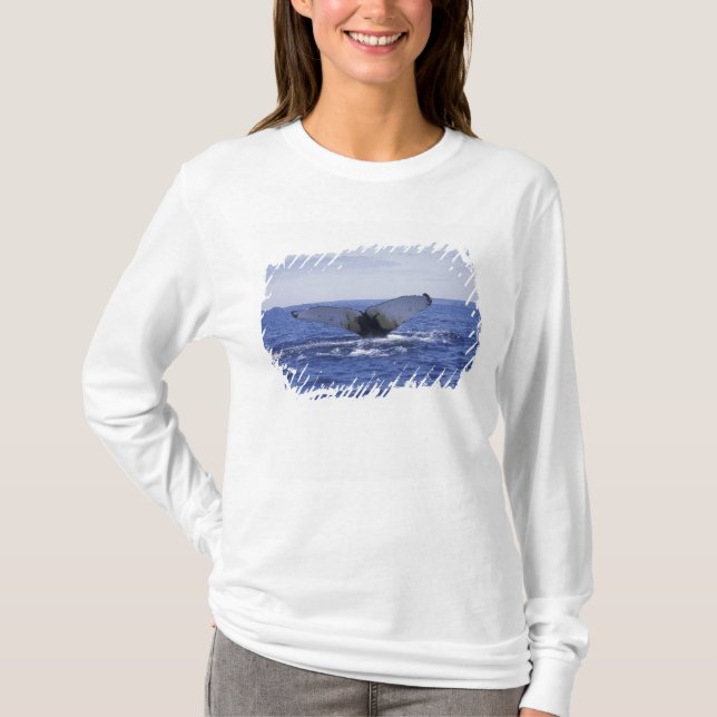 NA, Canada, Newfoundland, Trinity Bay. Humpback T-Shirt (Front)