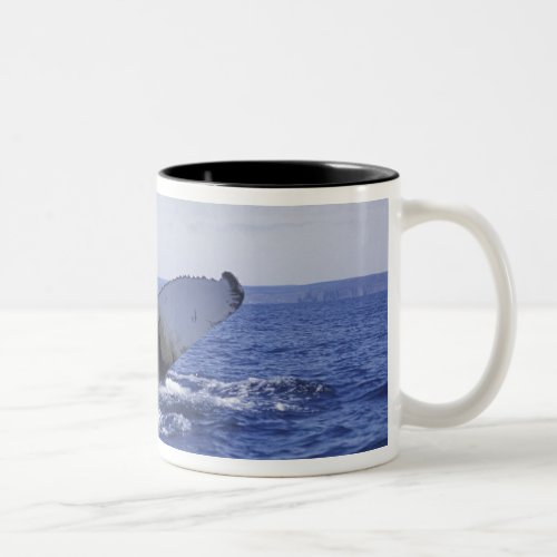NA Canada Newfoundland Trinity Bay Humpback Two_Tone Coffee Mug