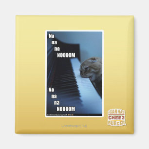 Na na na nooom magnet