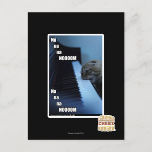 Na na noom postcard