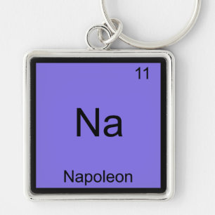 Na - Napoleon Funny Chemistry Element Symbol Tee Keychain