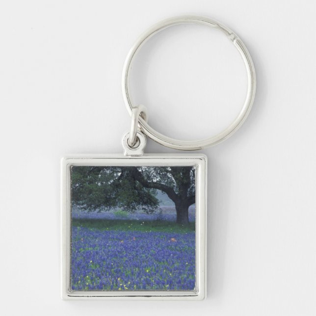 NA, Texas, Devine, Oak and blue bonnets Keychain (Front)