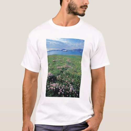 NA USA Alaska Aleutian Island Scenic with T_Shirt