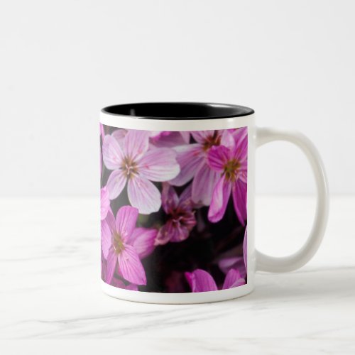 NA USA Alaska Aleutian Islands Wildflowers Two_Tone Coffee Mug