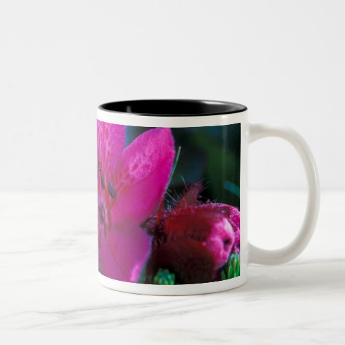 NA USA Alaska Aleutian Islands Wildflowers Two_Tone Coffee Mug