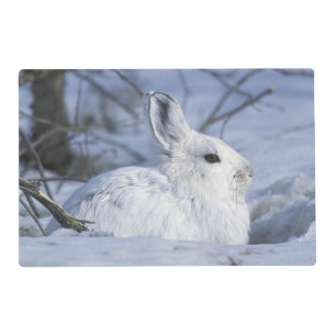 NA, USA, Alaska. Arctic National Wildlife Placemat
