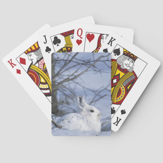 NA, USA, Alaska. Arctic National Wildlife Poker Cards (Back)