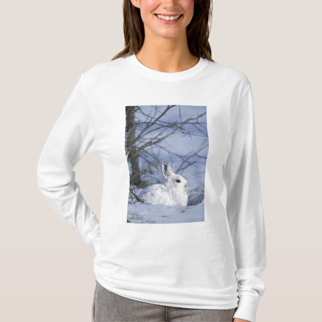 NA, USA, Alaska. Arctic National Wildlife T-Shirt (Front)