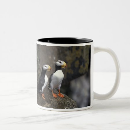 Na, Usa, Alaska, Bering Sea, Pribilofs, St. 2 Two-tone Coffee Mug