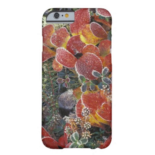 NA USA Alaska Denali National Park Bearberry 2 Barely There iPhone 6 Case