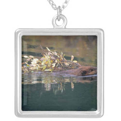 NA USA Alaska Denali NP Beaver collecting Silver Plated Necklace