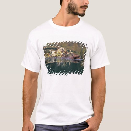 NA USA Alaska Denali NP Beaver collecting T_Shirt