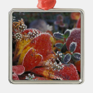 NA, USA, Alaska, Denali NP Frosted, fall-colored Metal Ornament